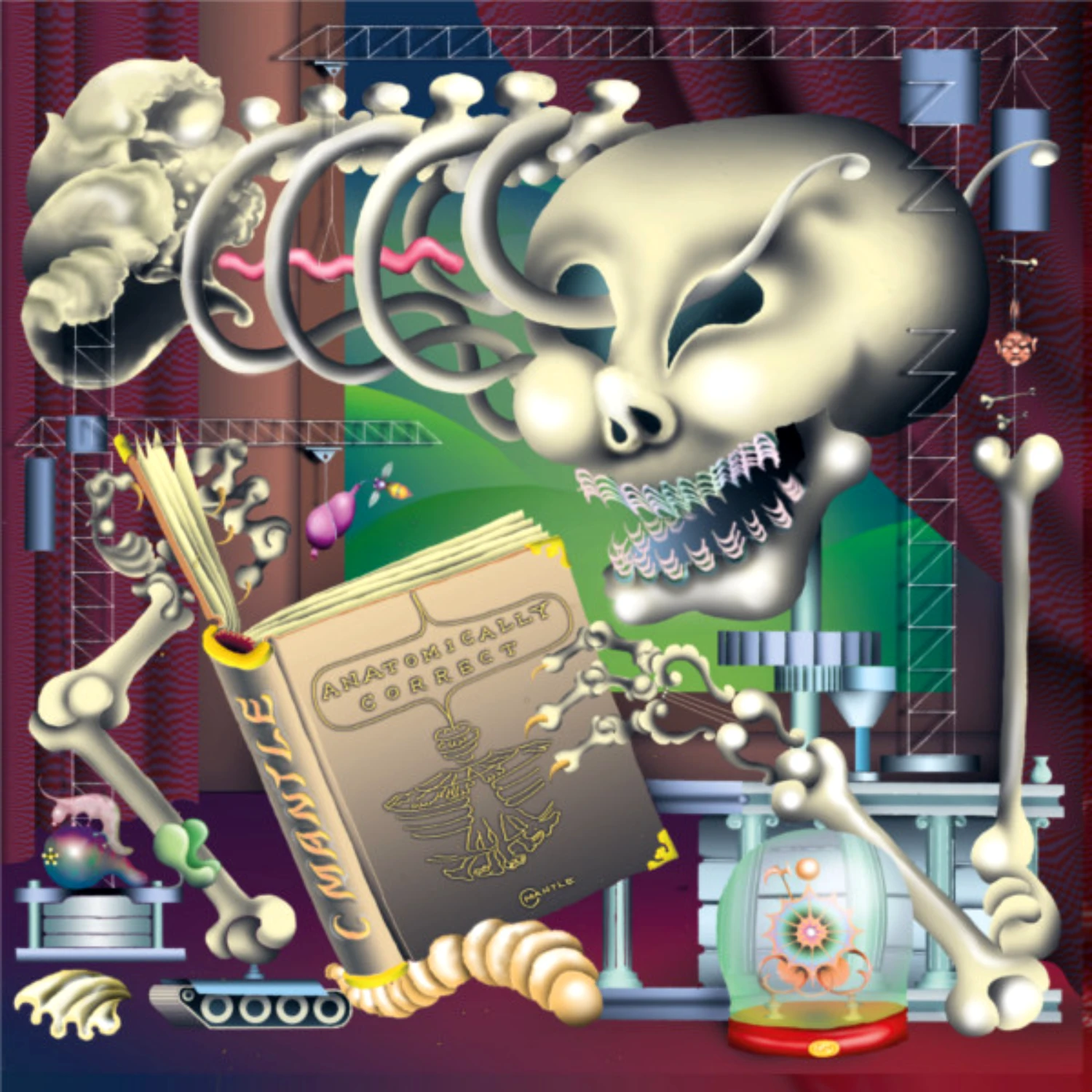 C Mantle: Anatomically Correct