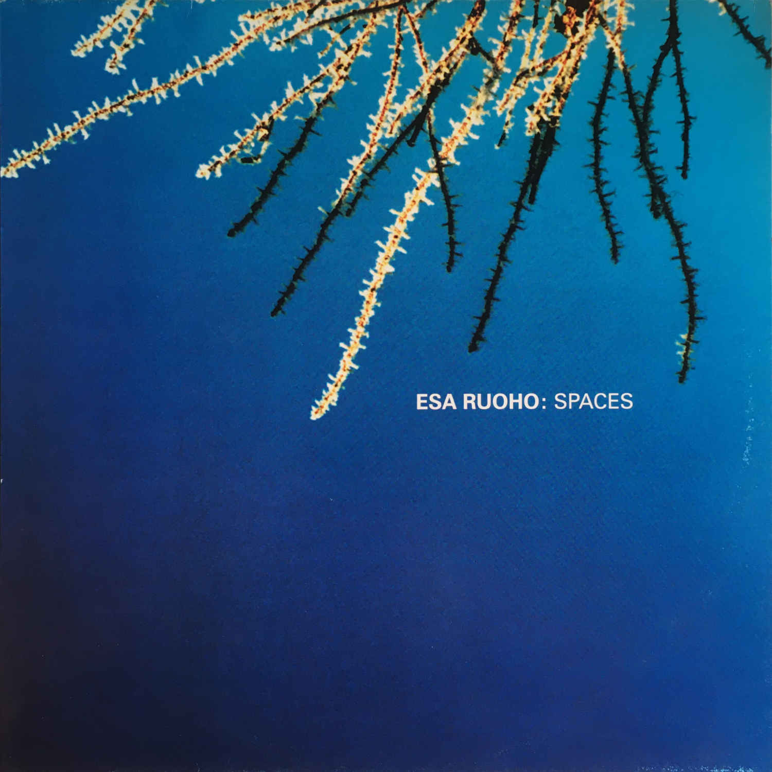 INC-US05 Esa Ruoho: Spaces