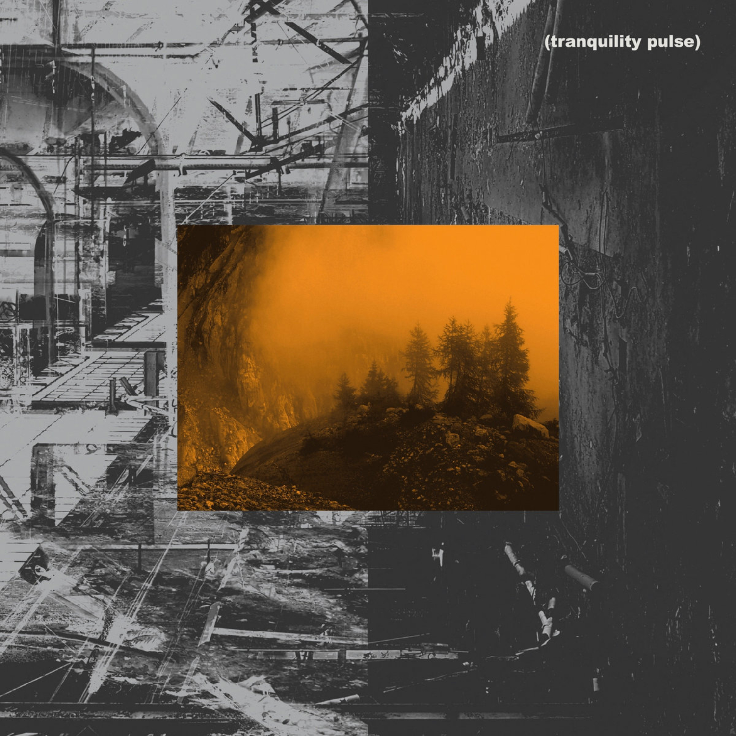 ***: (tranquility pulse)