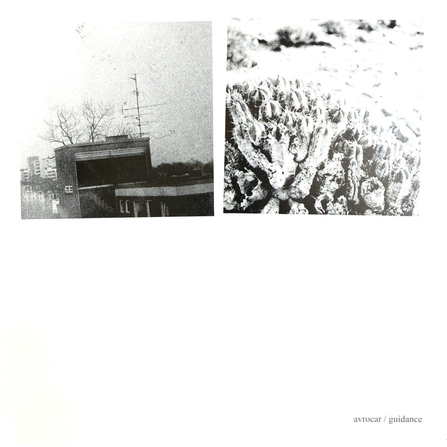 Avrocar: Guidance