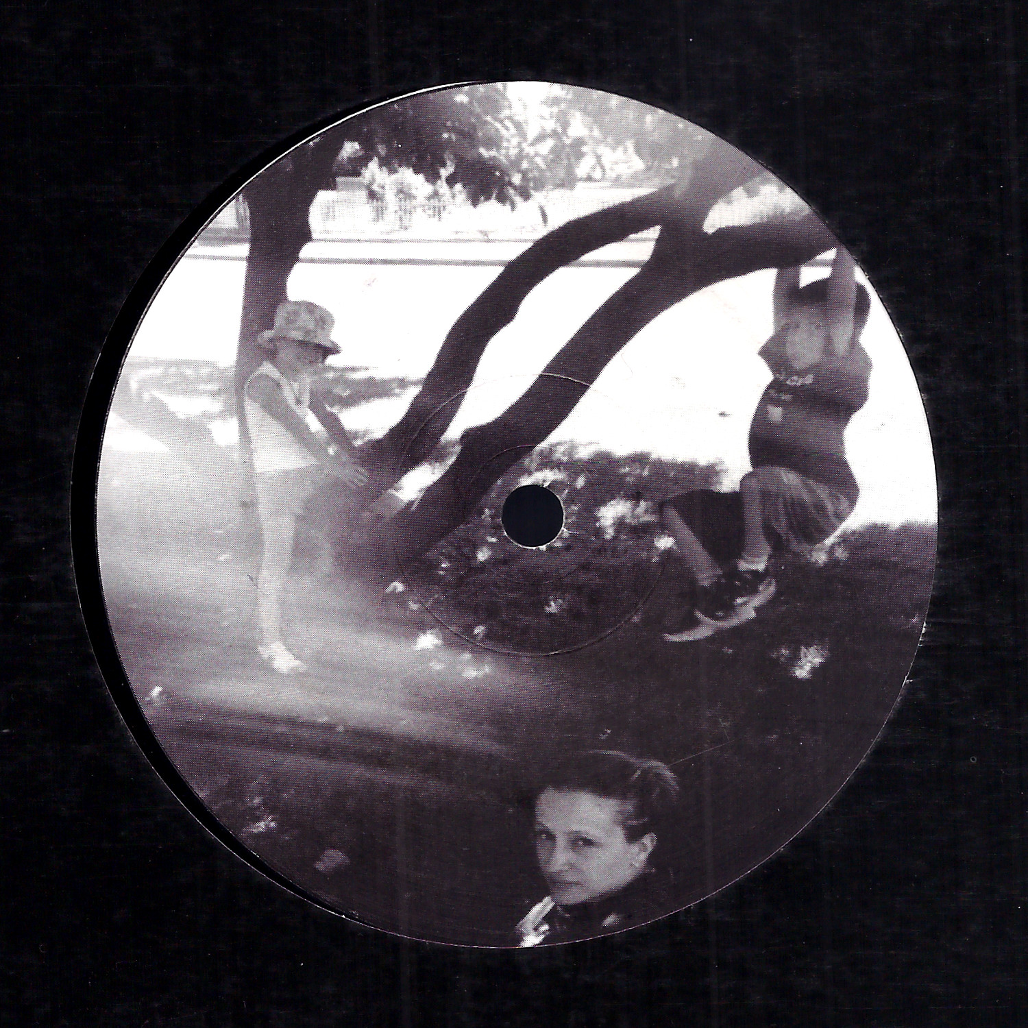 Somatic Responses & Maniaks: Vibrion Rec. 02