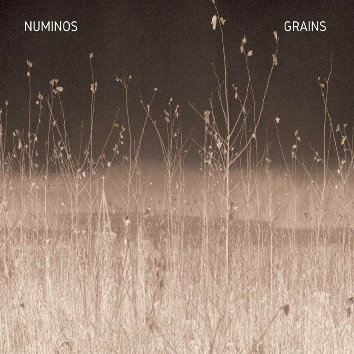 Numinos: Grains