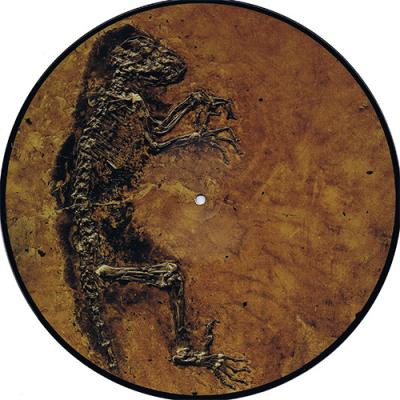 FossilHunters001 SSSE featuring Mina Caputo, Jørn Hurum, and Gator Bait Ten: Ida
