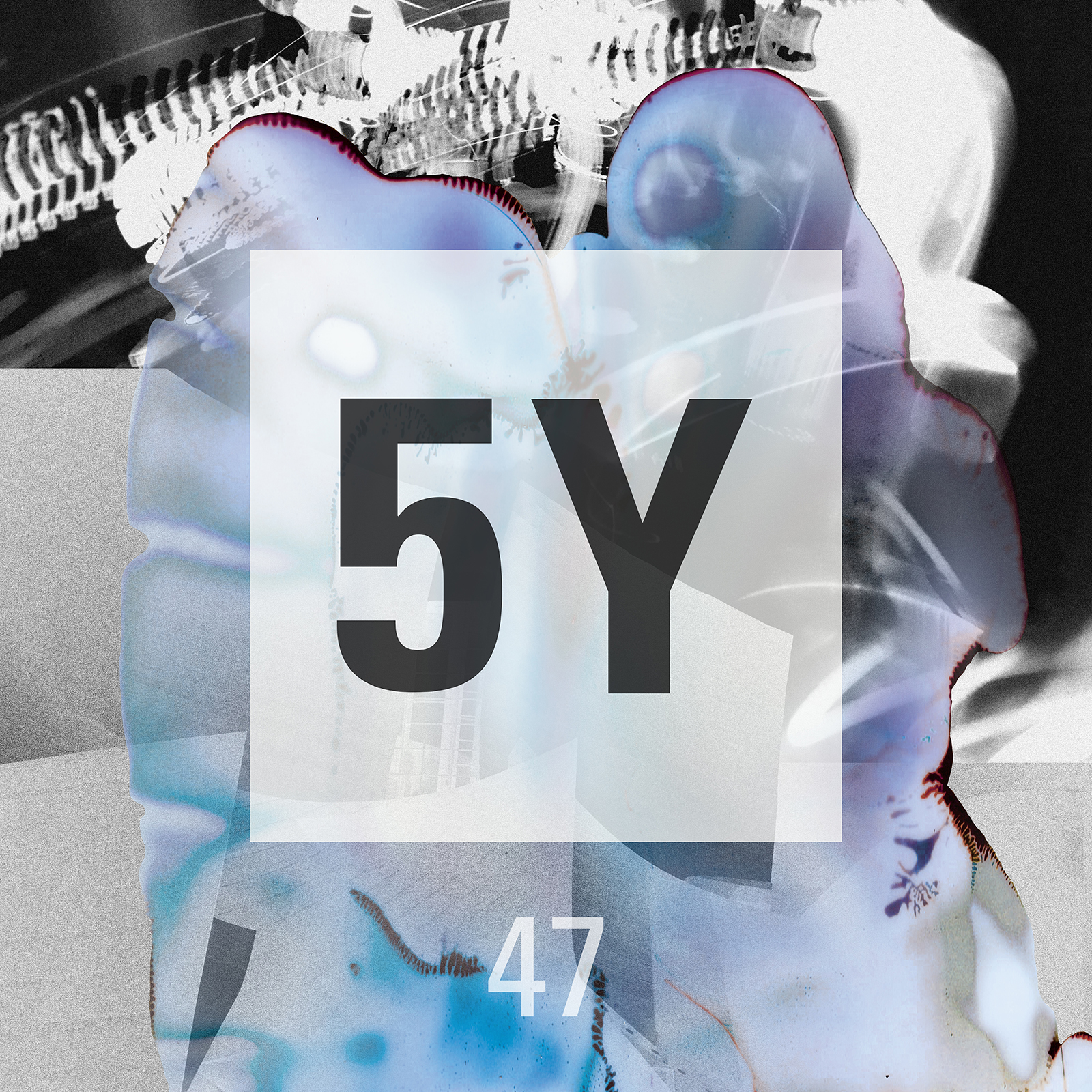 V/A: 5Y
