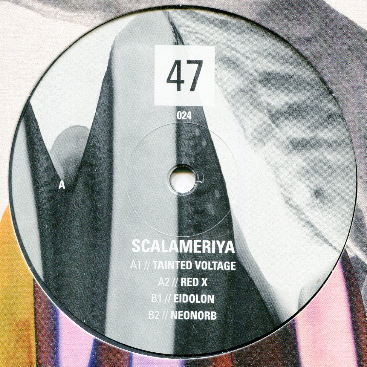 Scalameriya: 47024