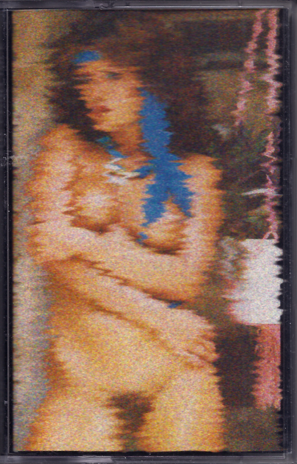 CHP069 Gonzo: The Porn Tape