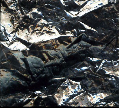 Biochip C.: 2001