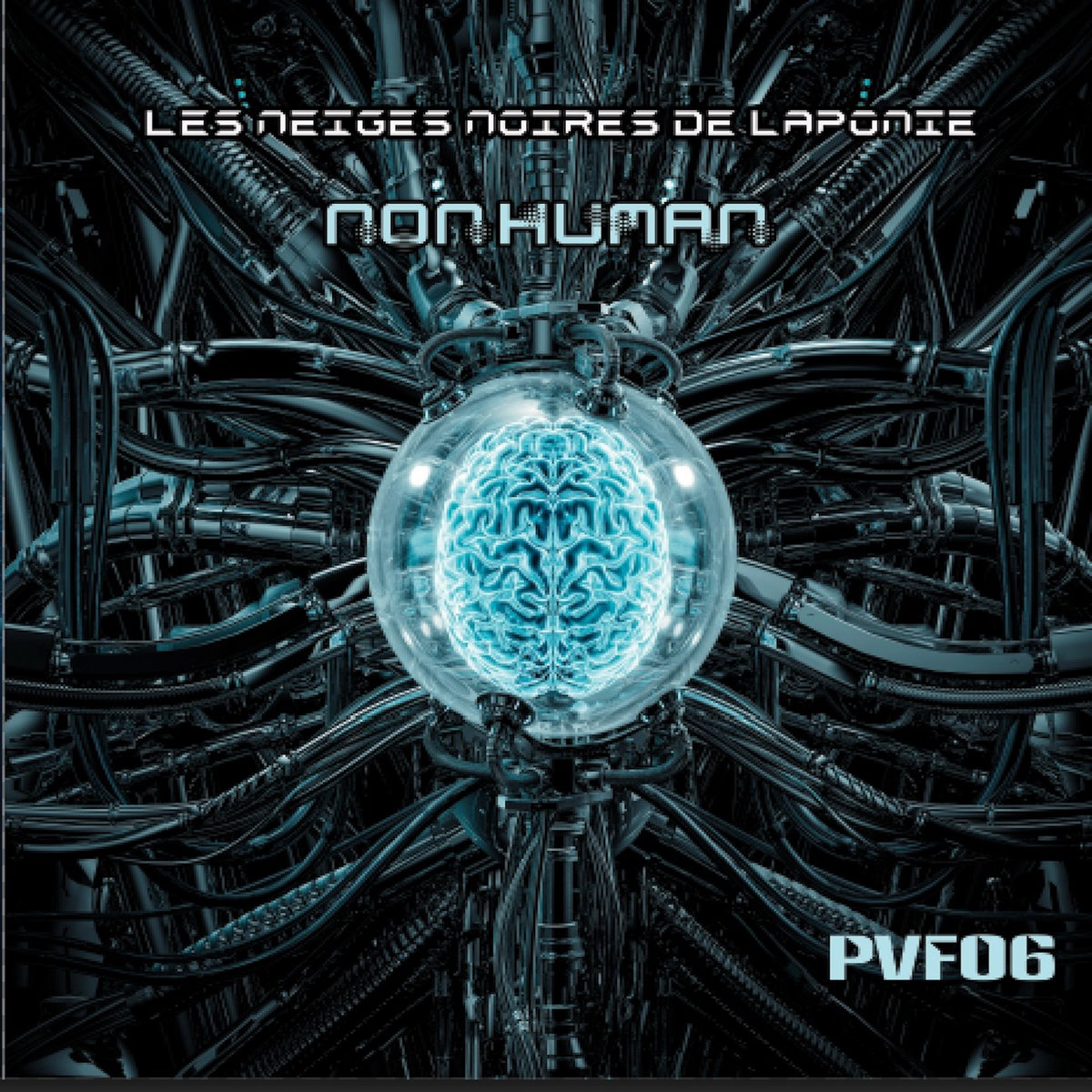 Les Neiges Noires De Laponie: Non Human