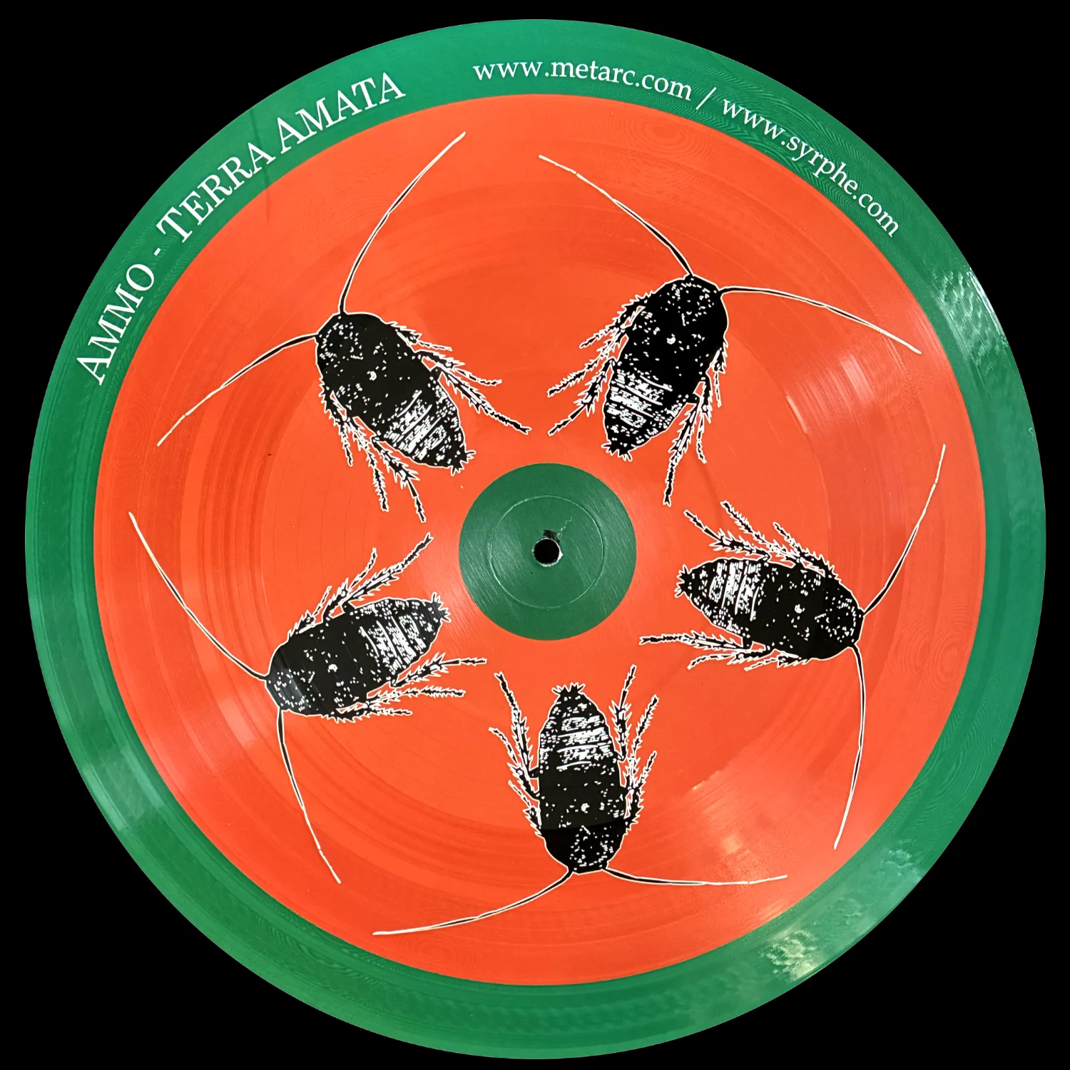 Ammo / Szkieve: Terra Amata/Perturbacée