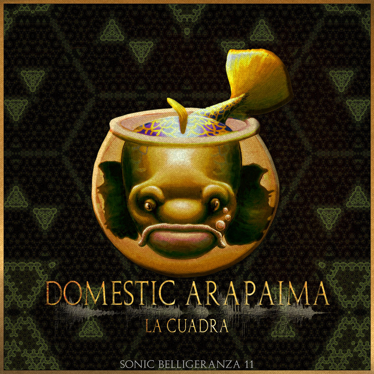 Domestic Arapaima: La Cuadra