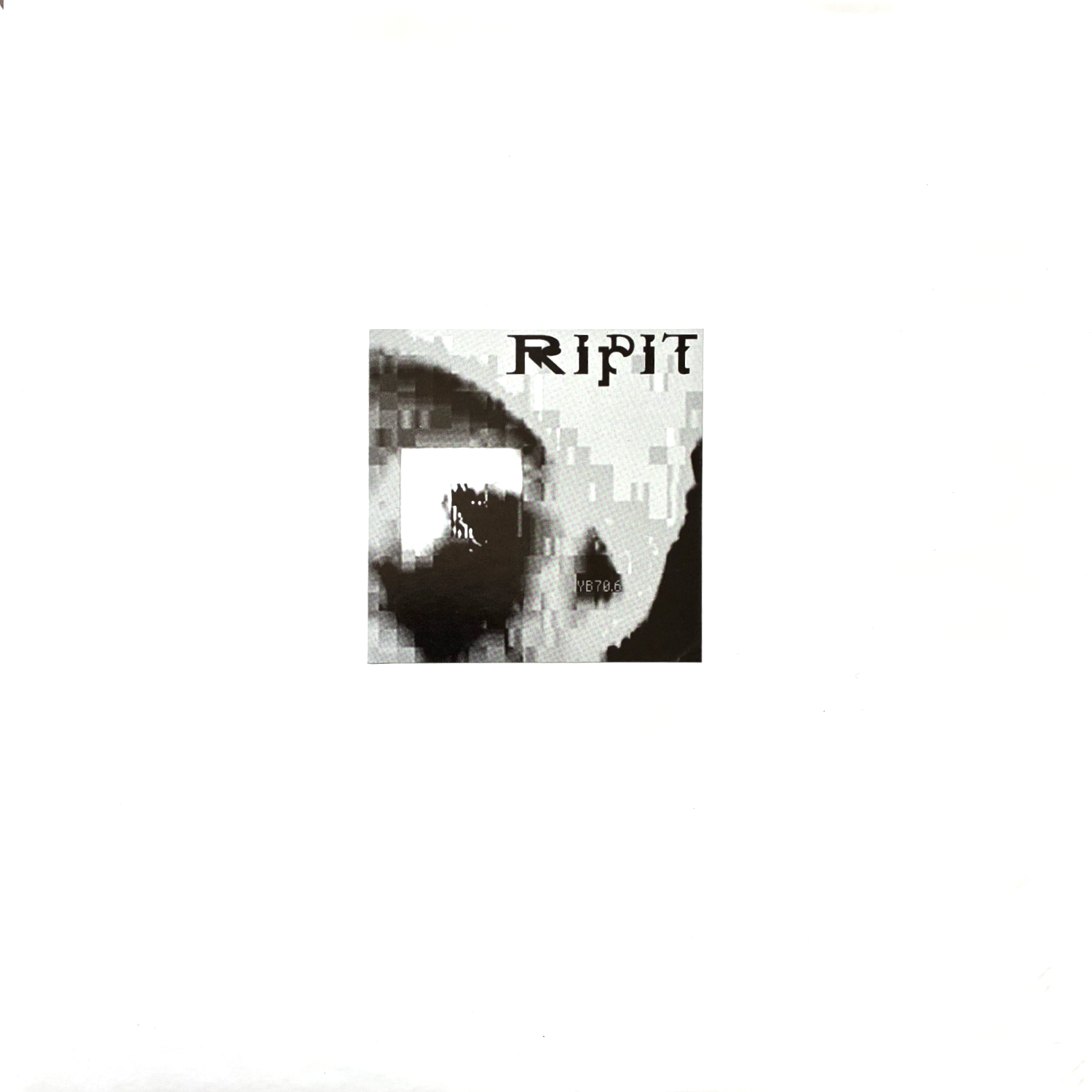 Ripit: Disastrous Brain Digging 12"